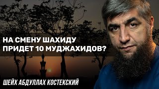 На смену шахиду придет 10 муджахидов?