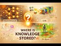 Where is Knowledge Stored in AI ? Neural Networks, CNNs, Transformers & RL Explain