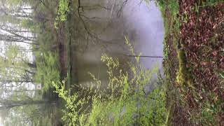 Lymm dam