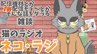 雑談する深夜の猫
