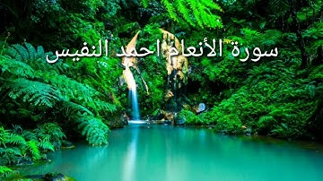 سورة الأنعام _ احمد النفيس