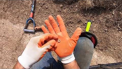 LIVE DIG ACTION!! Simplex SP24 coil tearing it up on "Jewelry Hill"