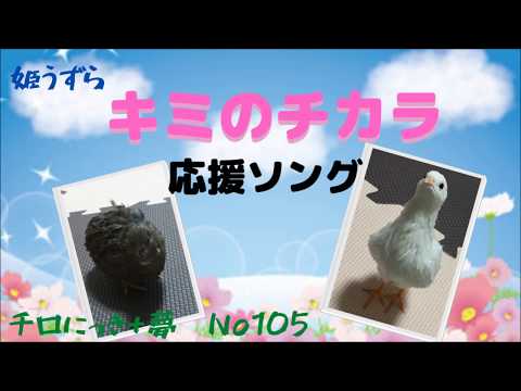 チロにっき+夢　No105　応援ソング「キミのチカラ」Cheering song♪