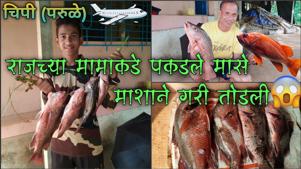 राजच्या मामाकडे जाऊन पकडले मासे 🎣 🐟 माशाने गरीच नेली तोडून 😱 Parule ...