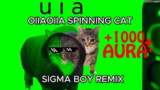 Oiia Spinning Cat Sigma Boy Remix Sigma Cat