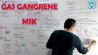 Gas Gangrene screenshot 3