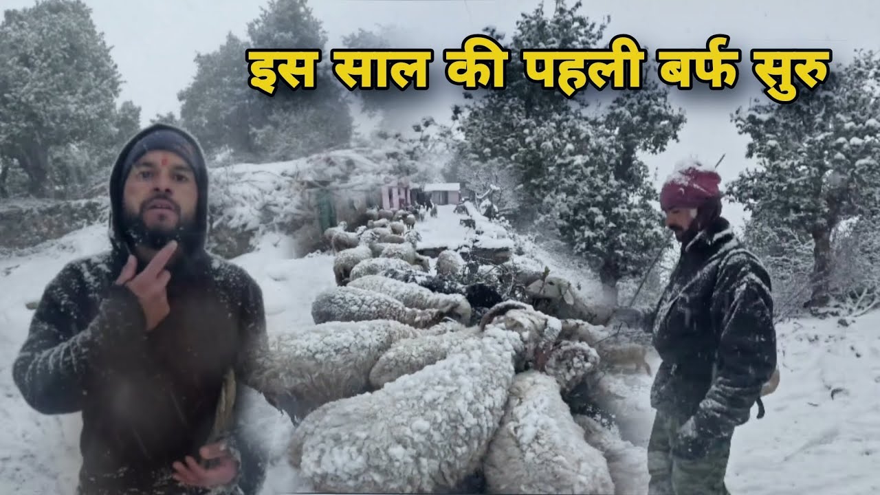 इस साल की पहली बर्फ पड़ ही गई || आखिर सुन ही ली भगवान ने