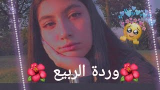 مسلسل وردة الربيع🥀✨الحلقة 12 حممممااااس 😍🥀