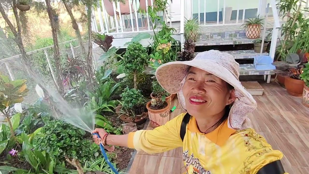 มารดน้ำต้นไม้บ้านป้าอ้วน