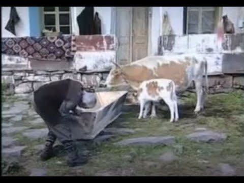 სასახლის დამზადება