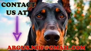 🐕 ARGUS NATURAL DOG FOOD Promo Video / "Wholesome &amp; Local" (THE BRAND YOU CAN TRUST!) #oregonliving