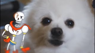 Borktrousle - Undertale