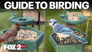 Beginner's Guide to Birding, Freaky Fungus, Lake St. Clair Fish Cleaning | Brother Nature