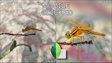3 Minutes of MACRO Photo Editing in SNAPSEED | Android | iPhone.