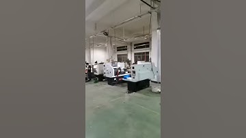 China lead screw manufacturer ALM