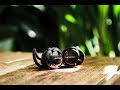 استعراض لسماعة الأذن اللاسلكية Bose Soundsport Free:ممتازة لكن!