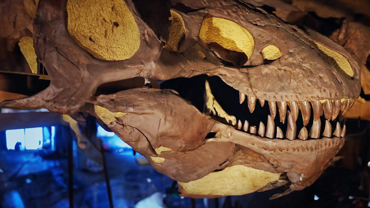 Hidden Wonders of the Natural History Museum (4K Documentary) - YouTube