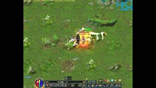 Conquer Online Yenneter Auto Hunt