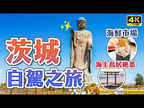 茨城自駕之旅✨絕美海上鳥居、日本第一牛久大佛、花貫溪谷紅葉吊橋、海鮮市場｜關東茨城自由行・日本旅遊4K VLOG