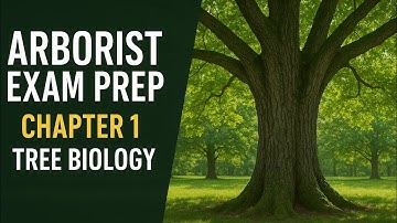 Arborist Exam Prep: Chapter 1 - Tree Biology