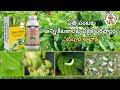   katyayani organics triple attack  triple attack pesticide   telugu  katyayaniorganics