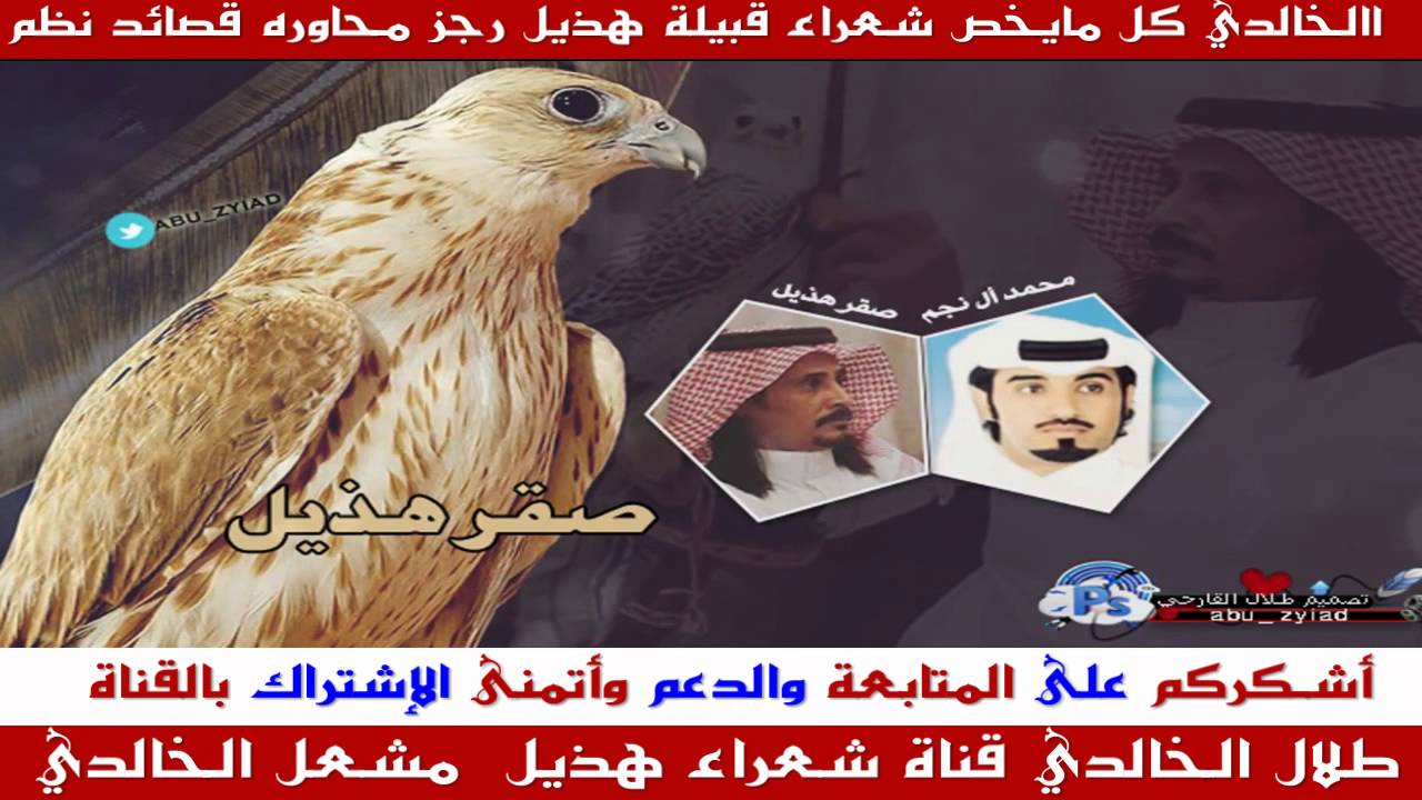 شيلة حماسية | من هذيل اللي روا التاريخ عنها || كلمات عبيدالله القارحي || اداء محمد ال نجم