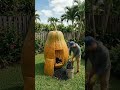 I BUILT A SECRET GAMING ROOM INSIDE A GIANT PAPAYA🍈😱 #gaming