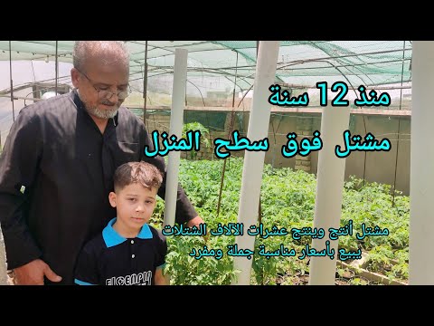 مشتل ابو علي النجار اول مشتل بالعراق على سطح المنزل ويبيع مختلف النباتات جملة ومفرد بسعر مناسب جدا