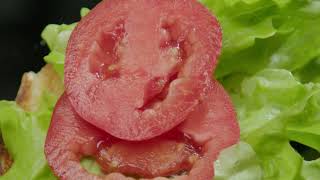 I Dare You Buggy Burger Prepared Using Global Bugs Entopowder