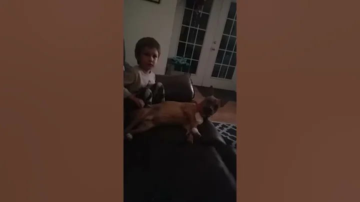 Silly boys
