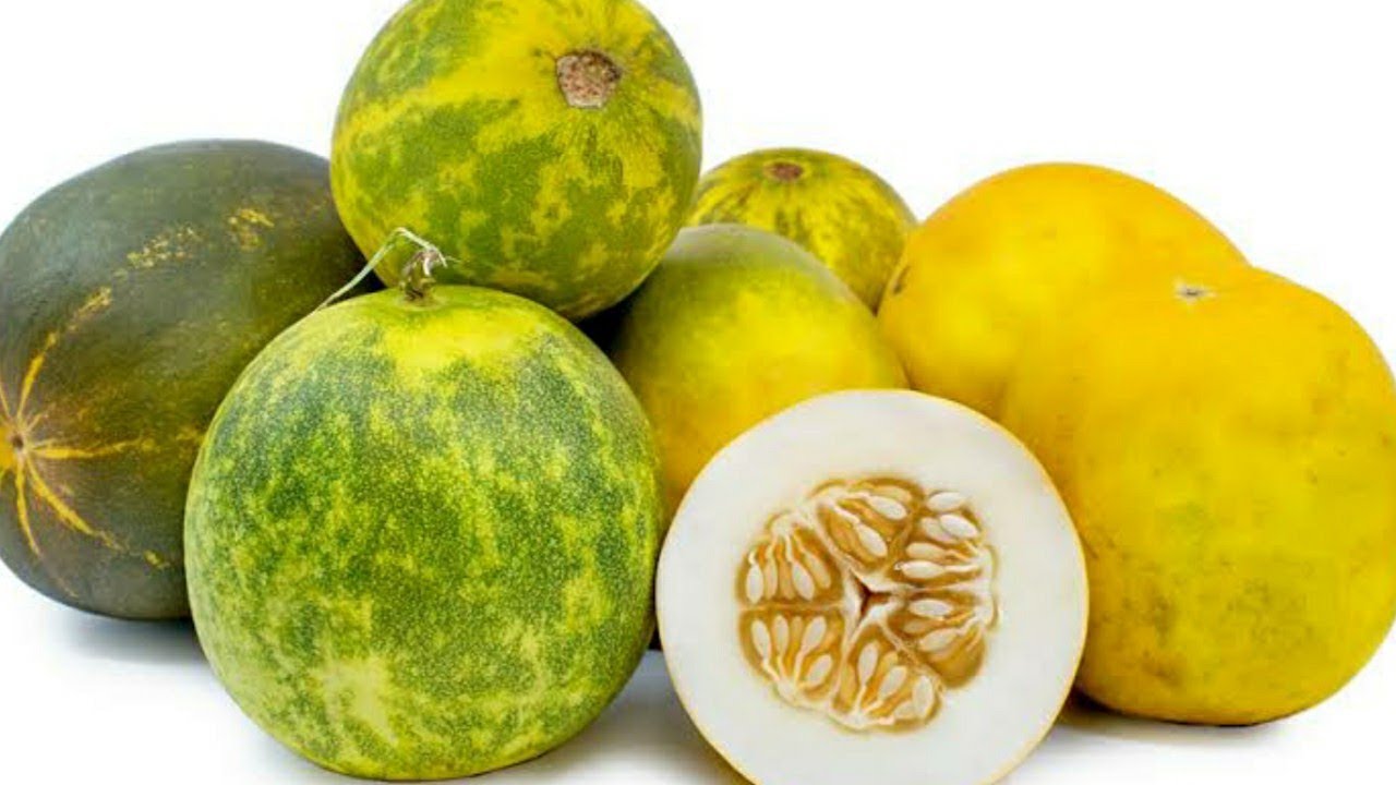 telugu-health