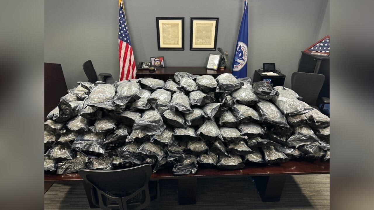 About 185 pounds of marijuana found in drug bust - YouTube