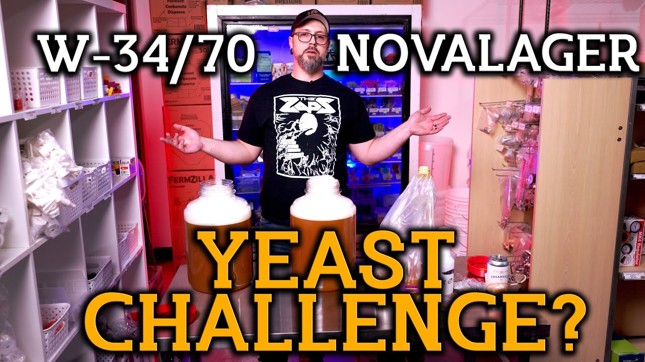 Brewing a Lager At Room Temperature? W34/70 vs Novalager From