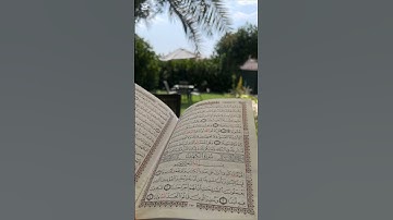 #سورة_الكهف #يوم_الجمعة #الحمدلله #يارب 🤲🏼 22/08/2025