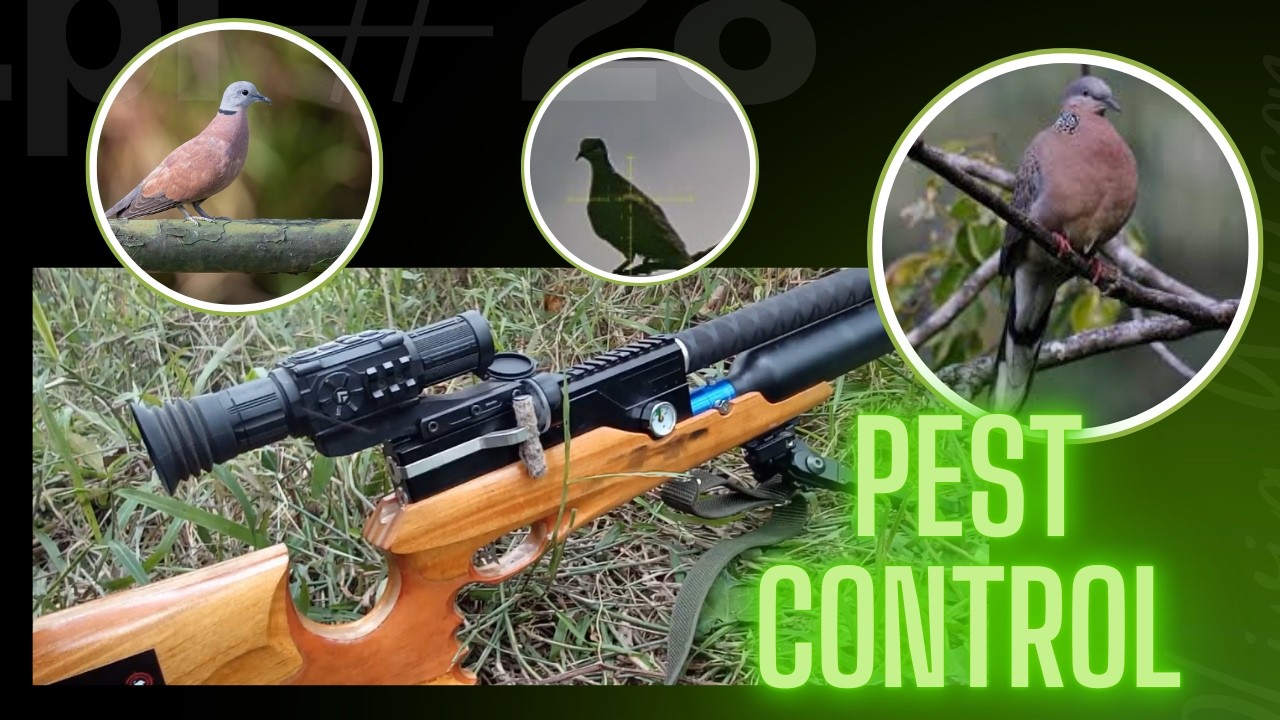 PEST CONTROL ULIT TAYO GUYS.... ilocano gunner