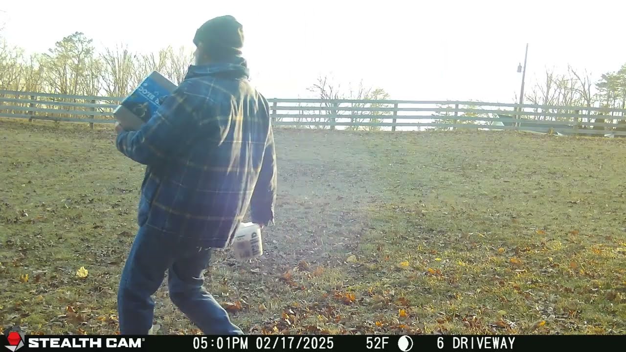 02 17 25 New Block and Corn for my Friends