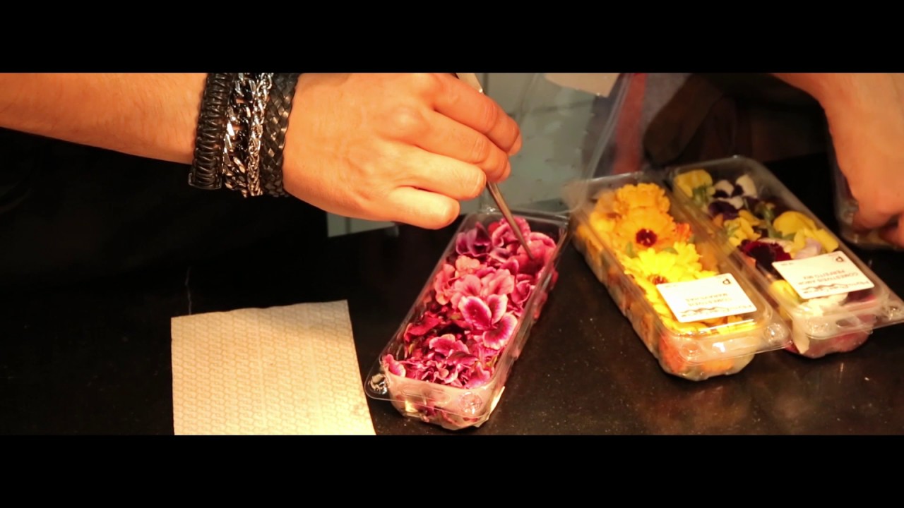 Restaurante Bon Bon por Rui Silvestre - YouTube