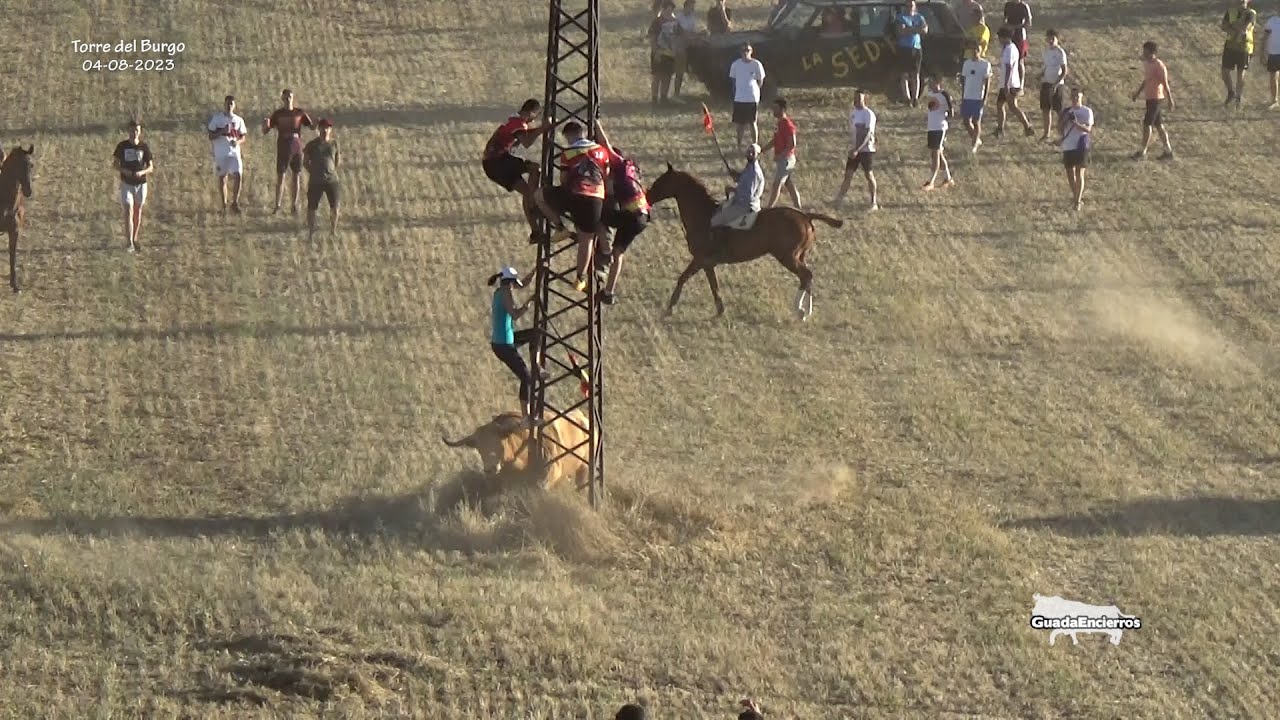 Atentos en la Columna Encierro de Torre del Burgo 04-08-2023 GuadaEncierros