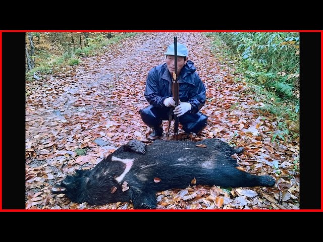 Tamagawa Matagi] The Last Shikari, Bear Hunting Matagi - YouTube