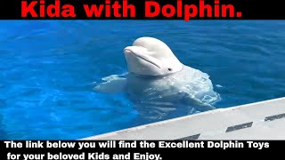 Funny Videos screenshot 5