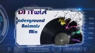 Martin Garrix VS Quentin Mosimann - Animals & Psyké Underground (DJ iTwist Mashup)