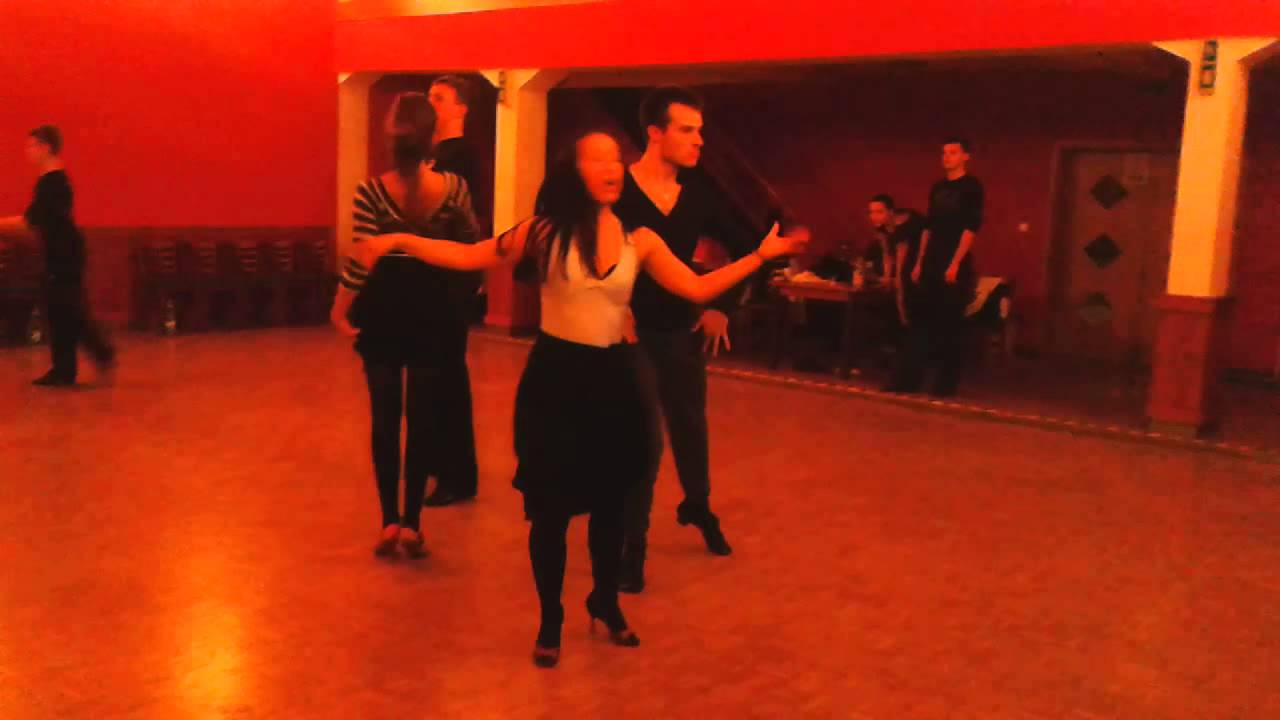 Das Kamel Tanzt Cha Cha Cha