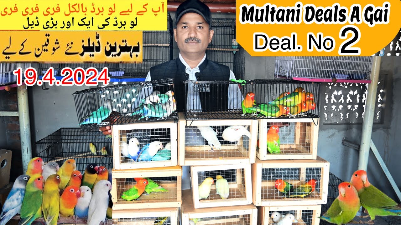 Multani Deals 2 A Gai Bohat Kam Rate BiG Deals Ye Sub Apka Hai Le Jao multani-deals-2-a-gai-bohat-kam-rate-big-deals-ye-sub-apka-hai-le-jao