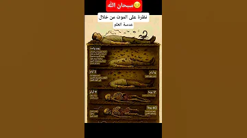 نظرة على موت الانسان 