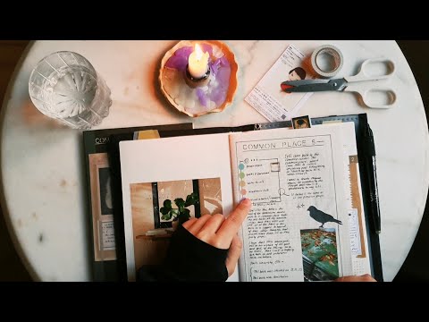 How I use my commonplace book~ an extension to the Hobonichi °~