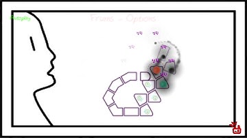 [ Adofai / Custom / 미완성 ] 공지가 있습니다.