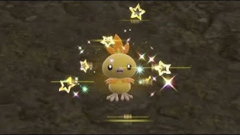 Shiny Torchic!! In Pokemon Scarlet The Indigo Disk