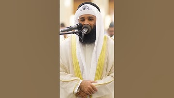 أفلا ينظرون إلى الإبل كيف خلقت  ماتيسر من سورة الغاشية للشيخ فهد واصل المطيري بترتيل رائع