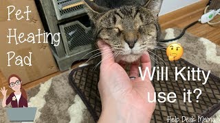 Review: Pet Heating Pad | Will My Cat Use It?