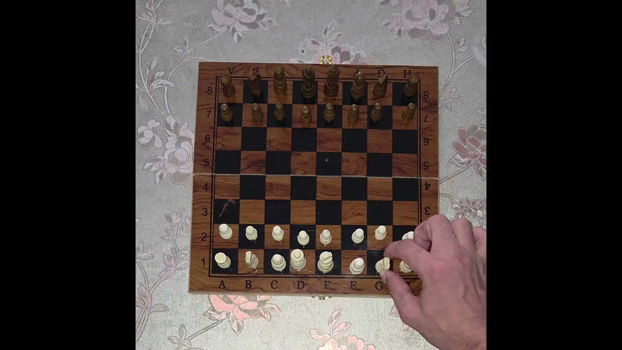 Elcan Nəsirov Şahmat idman oyunun izahı dərslərimizə qoşulmaq üçün 0504988628 əlaqə saxlaya bilərsiz